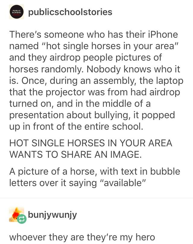Hot single horses in your area