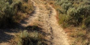 Wagon ruts from The Oregon Trail, circish Baker City, Oregon.