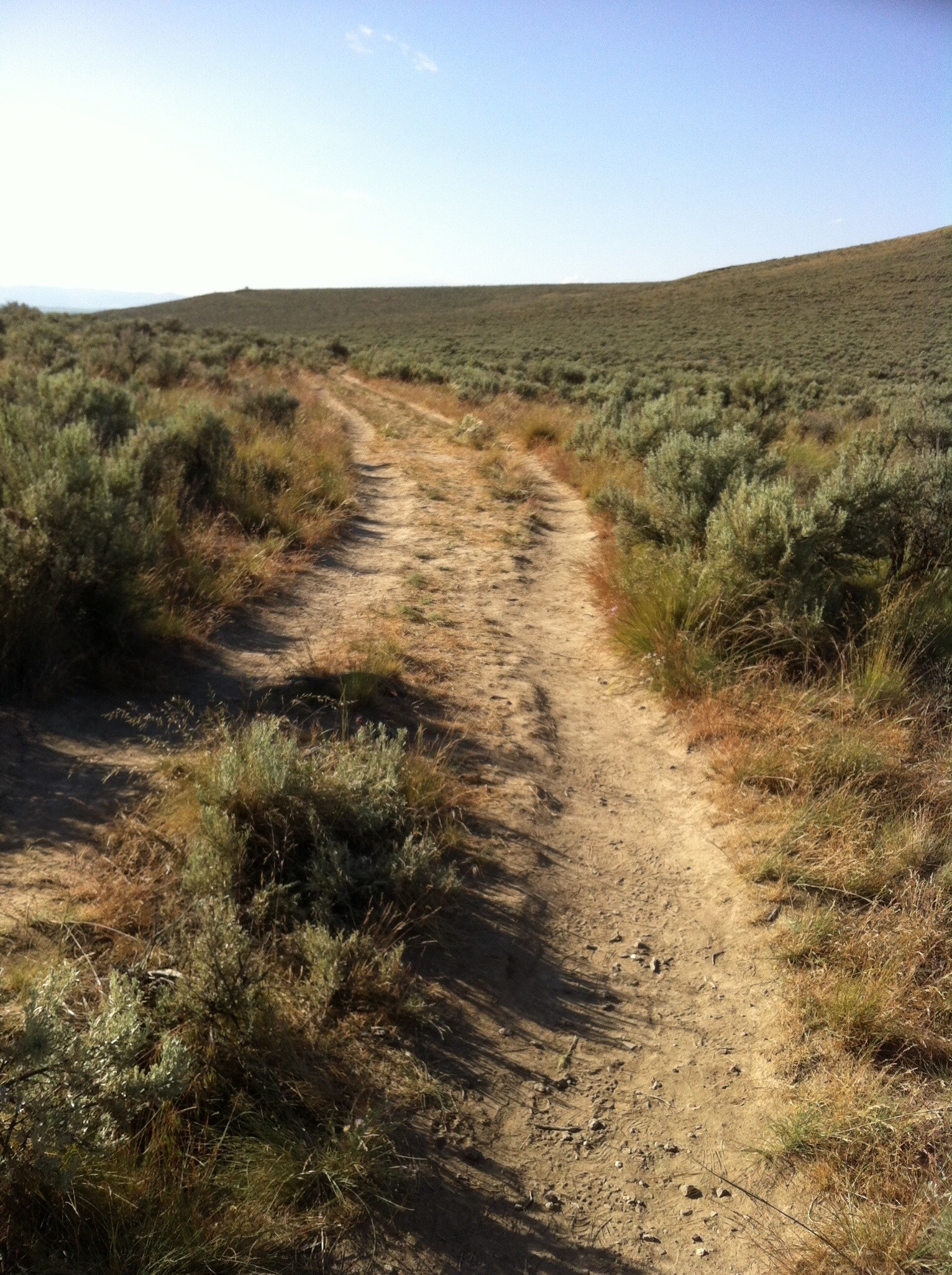 Wagon ruts from The Oregon Trail, circish Baker City, Oregon.