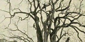 Men in Trees c. 1893