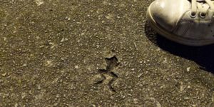 RIP In Peace Mr. Frogger