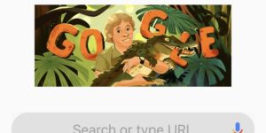 Google knows when it would have been Steve Irwin’s birthday.
