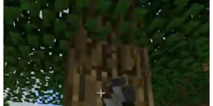 *happy Weyerhaeuser noises*