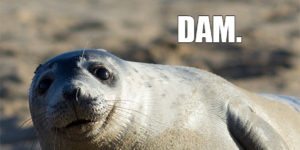 This seal has a joke for you.