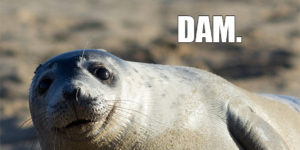 This+seal+has+a+joke+for+you.