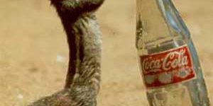 Do Coke.