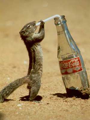 Do Coke.
