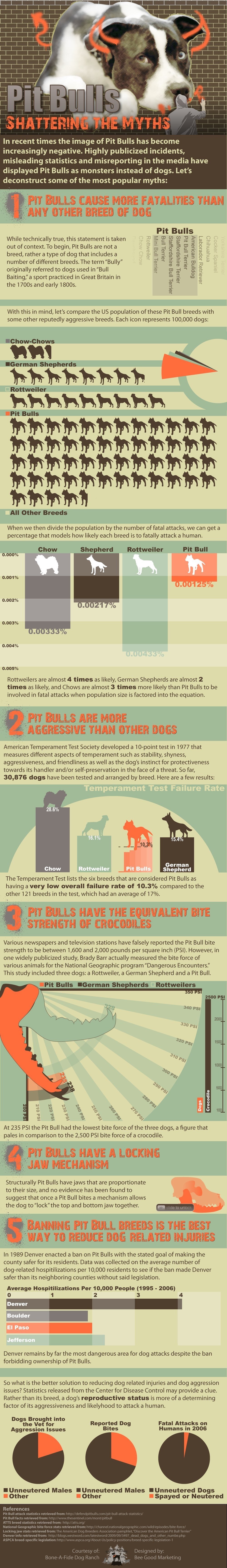 Common myths about the Pit Bull.