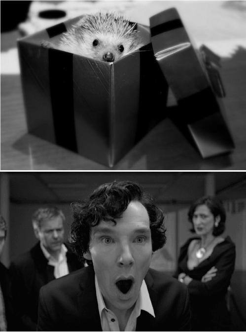 Sherlock gets a present.