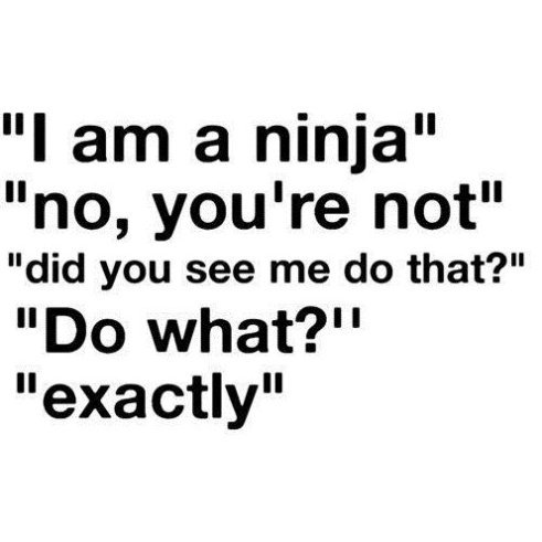 I am a ninja.