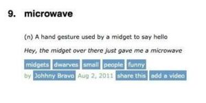 Microwave (noun):