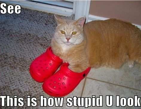 Crocs are stupid.