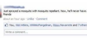 Mosquito spray.