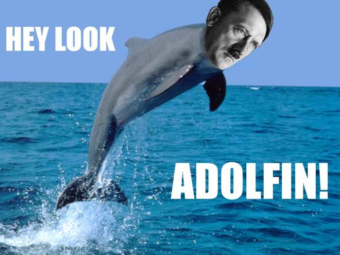 Hey look, Adolfin!