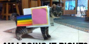 Nyan cat try outs.
