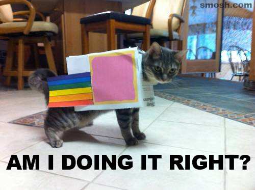 Nyan cat try outs.