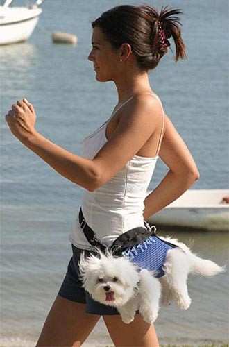 Fanny pack puppy purse.