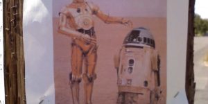 Have you seen these droids?