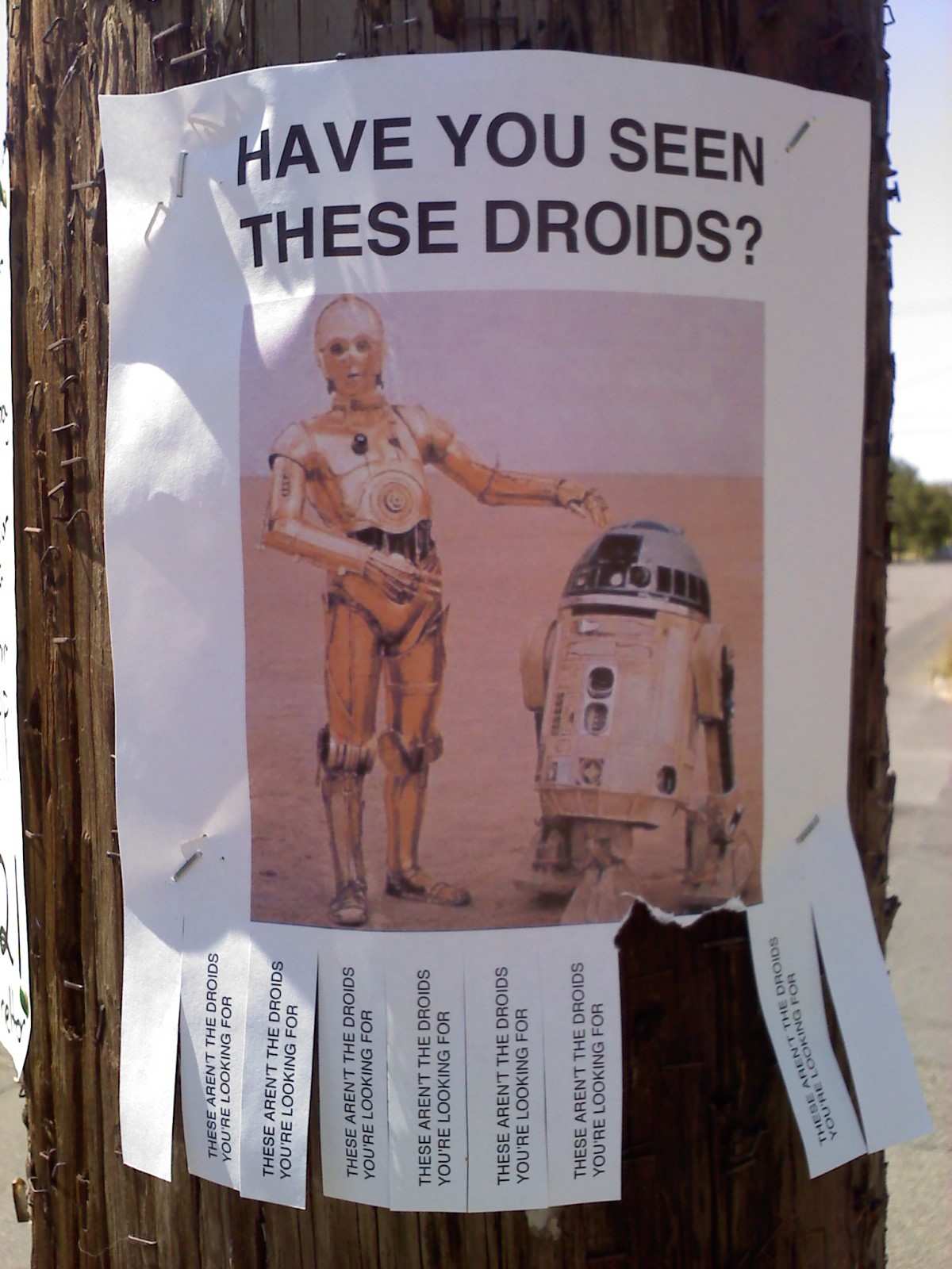 Have you seen these droids?