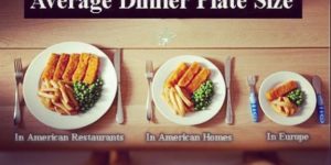 Average dinner plate size.