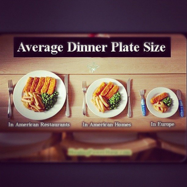 Average dinner plate size.