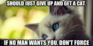 Why do we punish the cats?