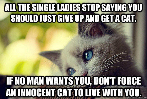 Why do we punish the cats?