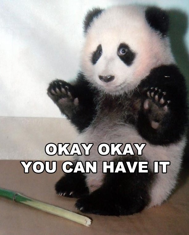 Cute panda is cute.