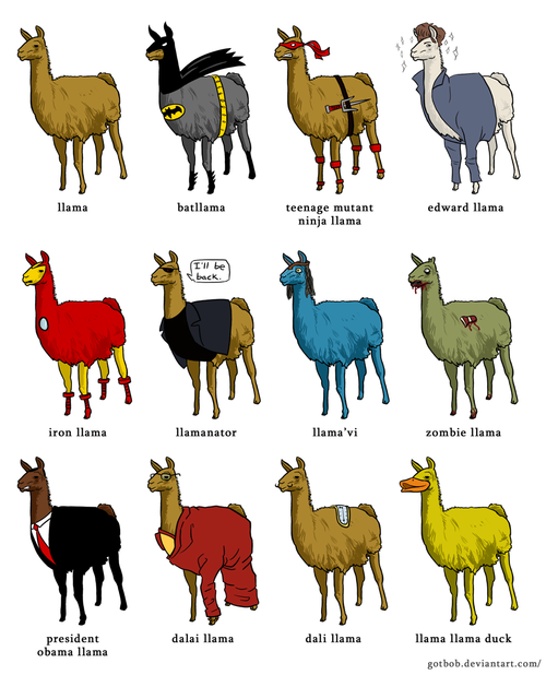 Llama time.