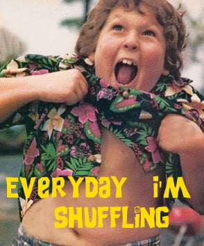 Everyday I'm shuffling...