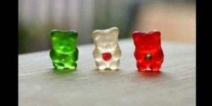 Things to do with gummy bears.