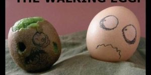 The Walking Egg.