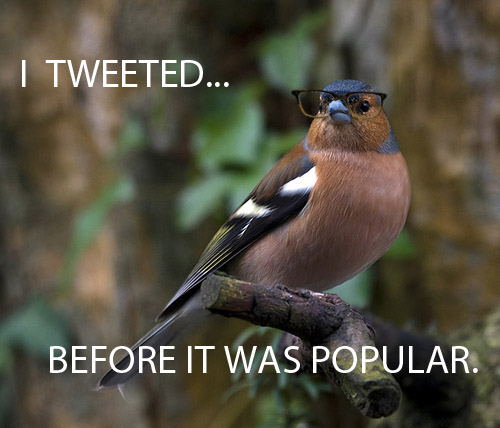 Hipster bird.