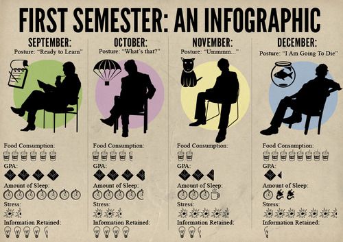 First semester: An Infographic.
