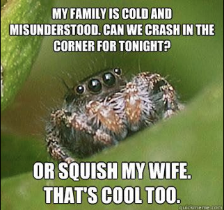 Misunderstood spider.