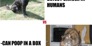 Dogs vs. cats.