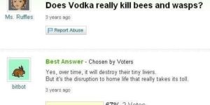 Does vodka really kill bees and wasps?