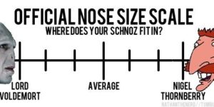 Where does your schnoz fit in?