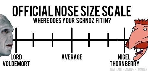 Where does your schnoz fit in?