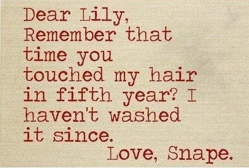 Dear Lily