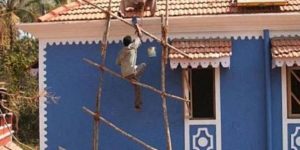 Why women live longer