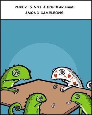 Those poor chameleons.