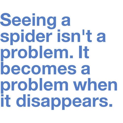 Spiders.
