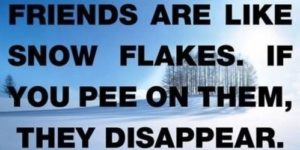 Friends are like snow flakes…