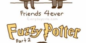 Fuzzy Potter.