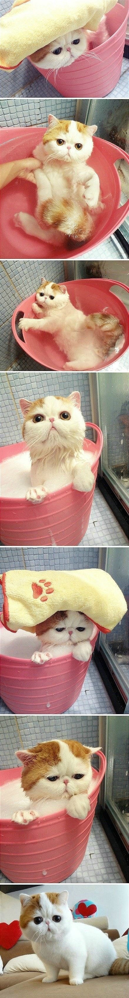 Bath time with kitty.