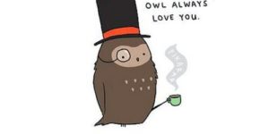 Owl always love you.