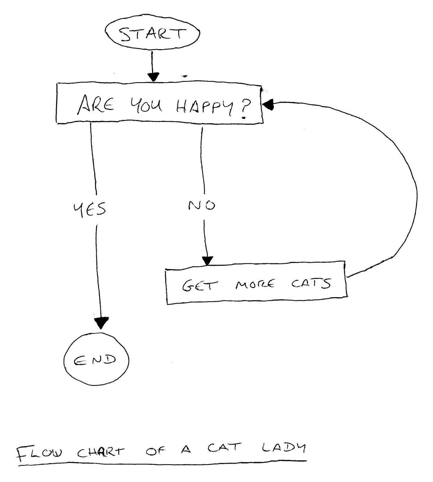 Flow chart of a cat lady.