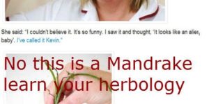 Learn your Herbology.
