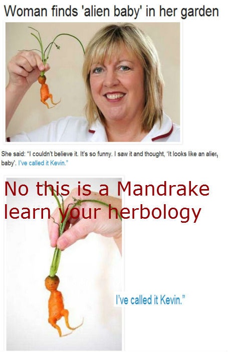 Learn your Herbology.